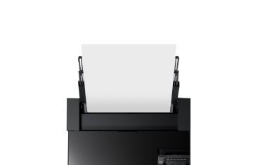 brand_distribution_epson